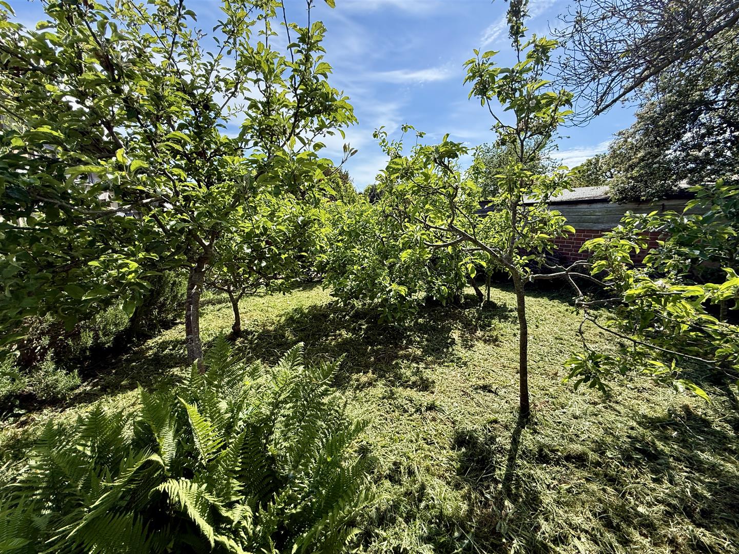 Gardens: